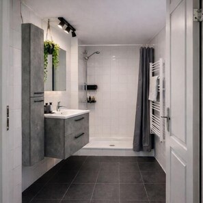 Shower, hair dryer, toilet paper