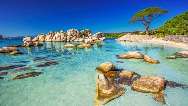 A clear coastal view with large rocks in the water, a tree on the beach, and a clear blue sky. - Spacious, bright apartment on the harbour for 4 to 6 people (Porto-Vecchio)