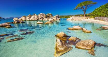 Appartement spacieux et lumineux situé sur le port 4 à 6 personnes