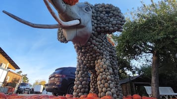 Ulkopuoli