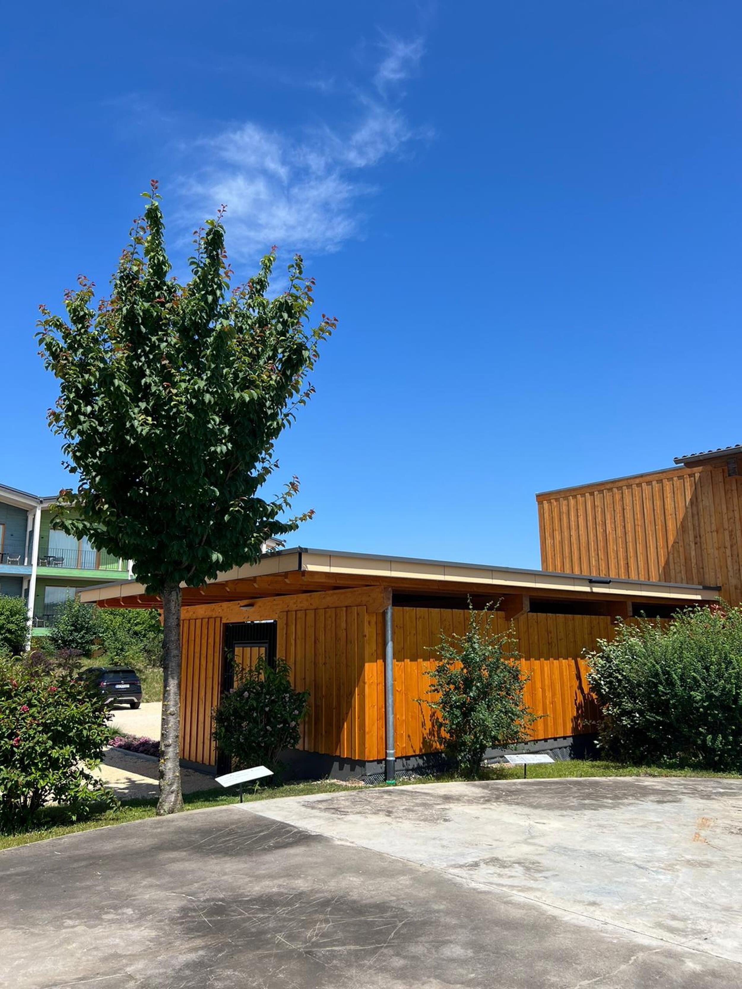 Un edificio moderno con fachada de madera, un gran árbol en primer plano y un cielo azul despejado.