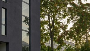 A modern building with large windows and a staircase leading to the entrance. There are three potted trees in front of the building. - Moro Inn  (Korcula)