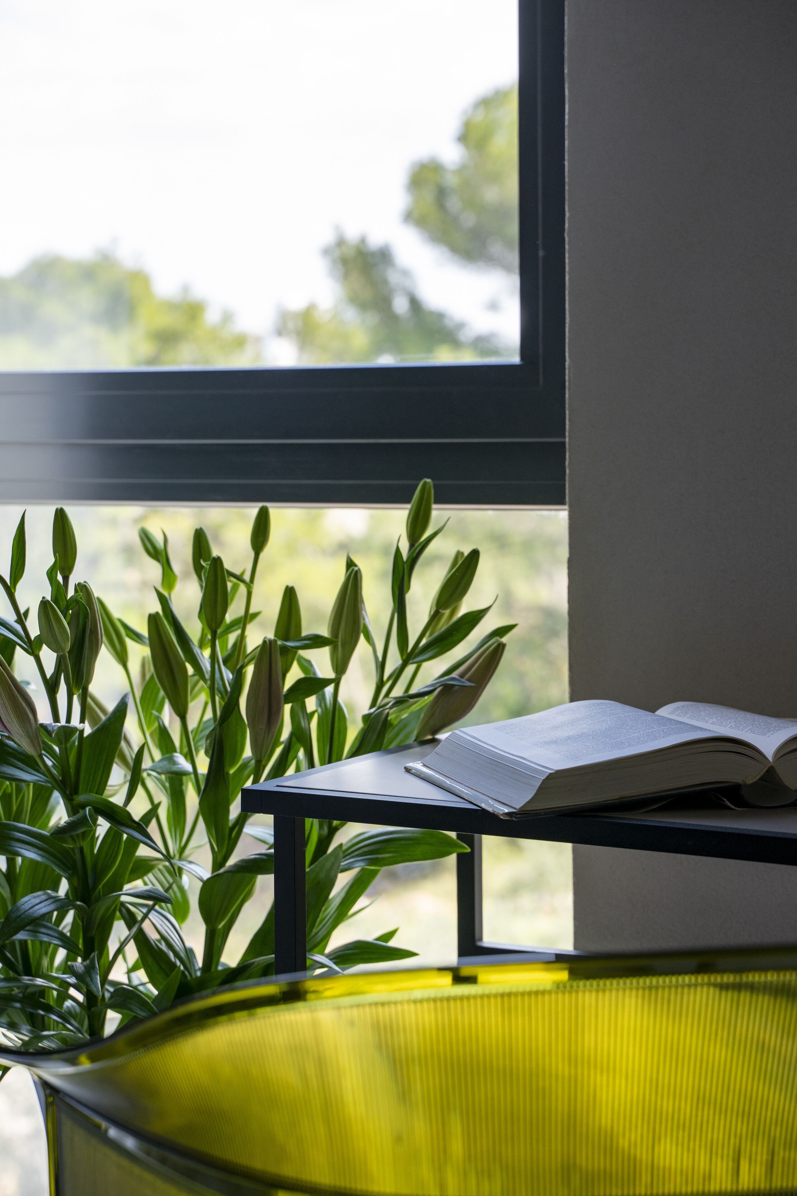 A room with a window, a potted plant, and a table with an open book.