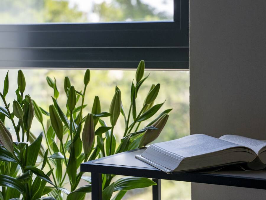 A room with a window, a potted plant, and a table with an open book.
