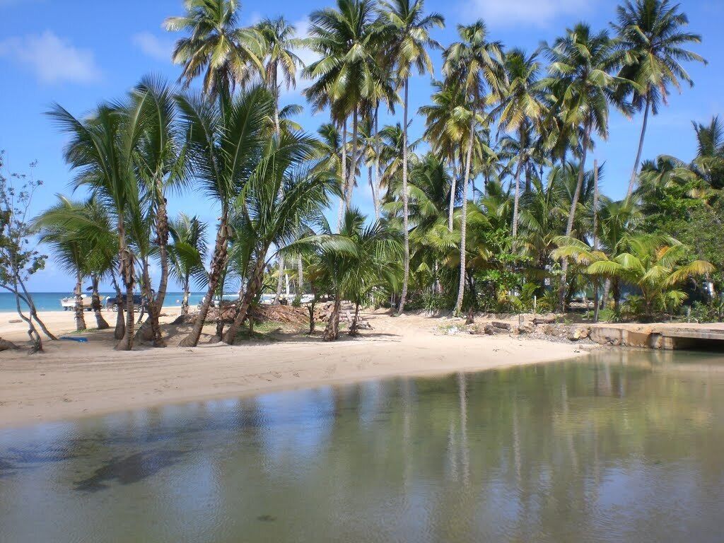 Beach nearby, sun-loungers