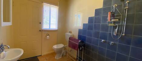 Un baño con inodoro, lavabo y ducha.