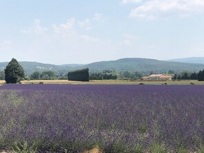 المنطقة المحيطة بالمنشأة