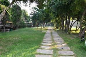 Vista para o jardim