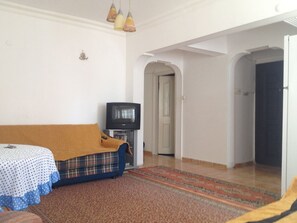 Fernseher, Computerbildschirme