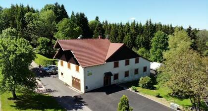 Gite in renovated farmhouse, quiet, Hautes Vosges
