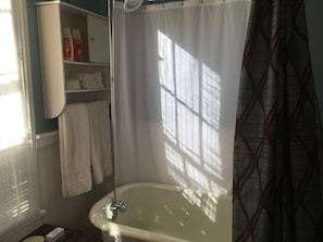 Ensemble douche/baignoire, sèche-cheveux, serviettes fournies, savon