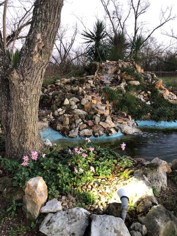 Jardines del alojamiento