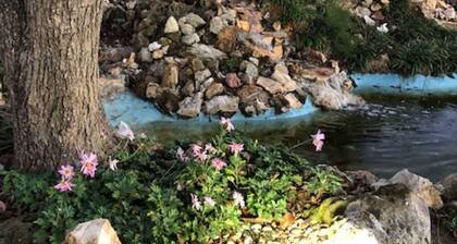 Although a country setting, the cottage has all modern conveniences & comforts