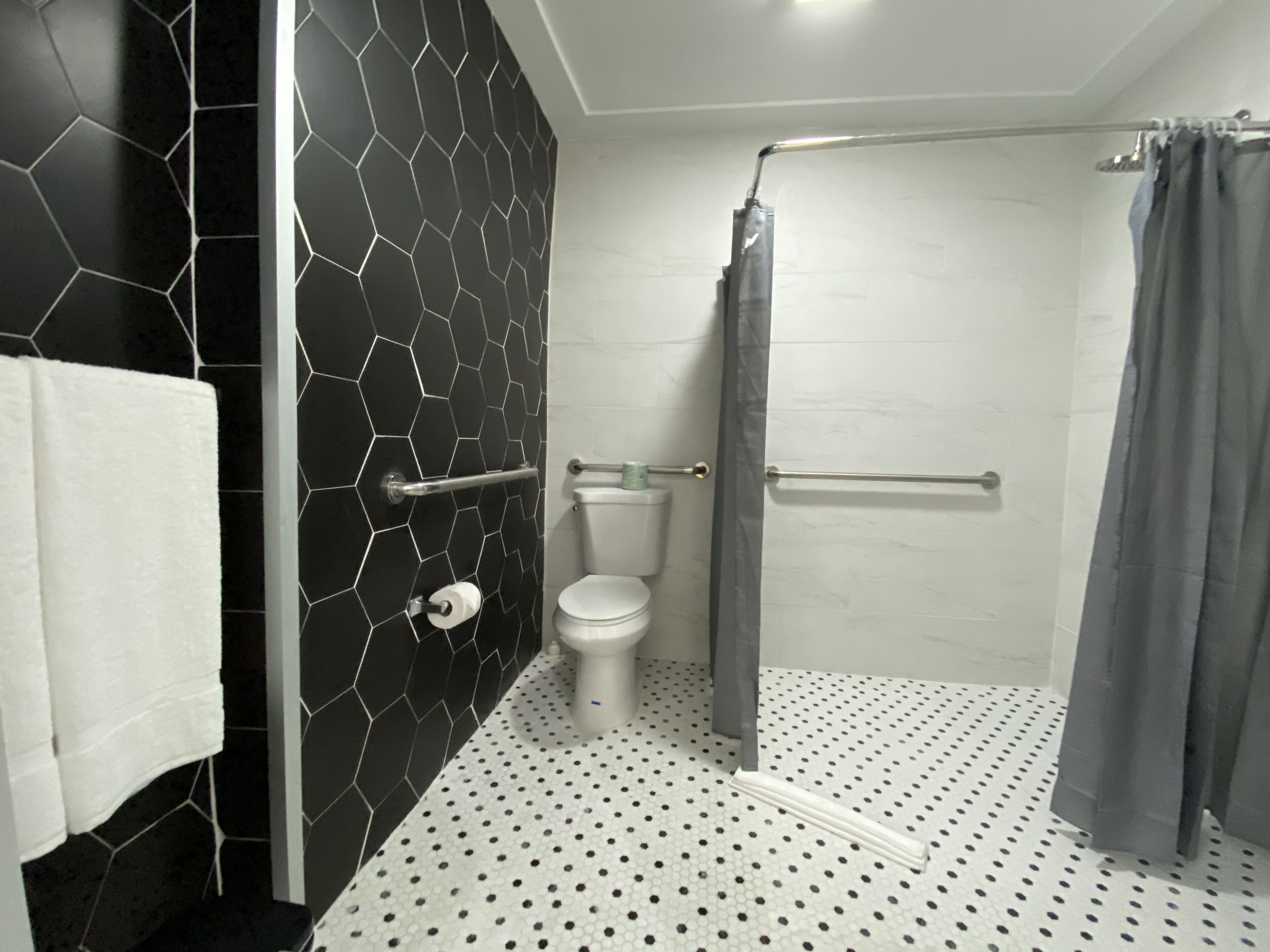 room, 1 queen bed, accessible | bathroom | shower, hair dryer, towels