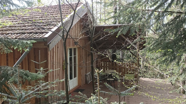 A wooden cabin with a tiled roof, surrounded by trees.