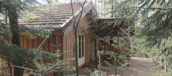 Chalet close to the forest with private spa jacuzzi