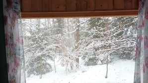 A window with a view of snow-covered trees.