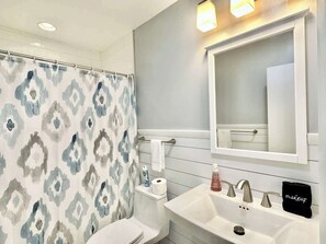 Combined shower/tub, hair dryer