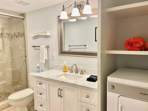 Shower, hair dryer