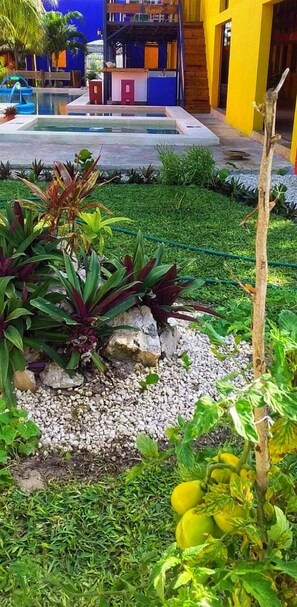 Exterior - Hotel Chuburna (Progreso)