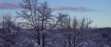 A snowy landscape with bare trees and a clear sky.