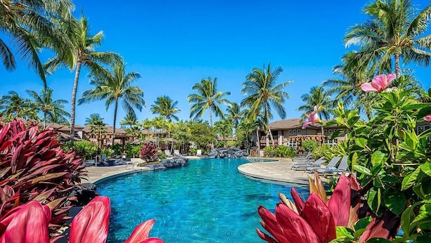 Ein Hotelpool, umgeben von Palmen und tropischer Bepflanzung.