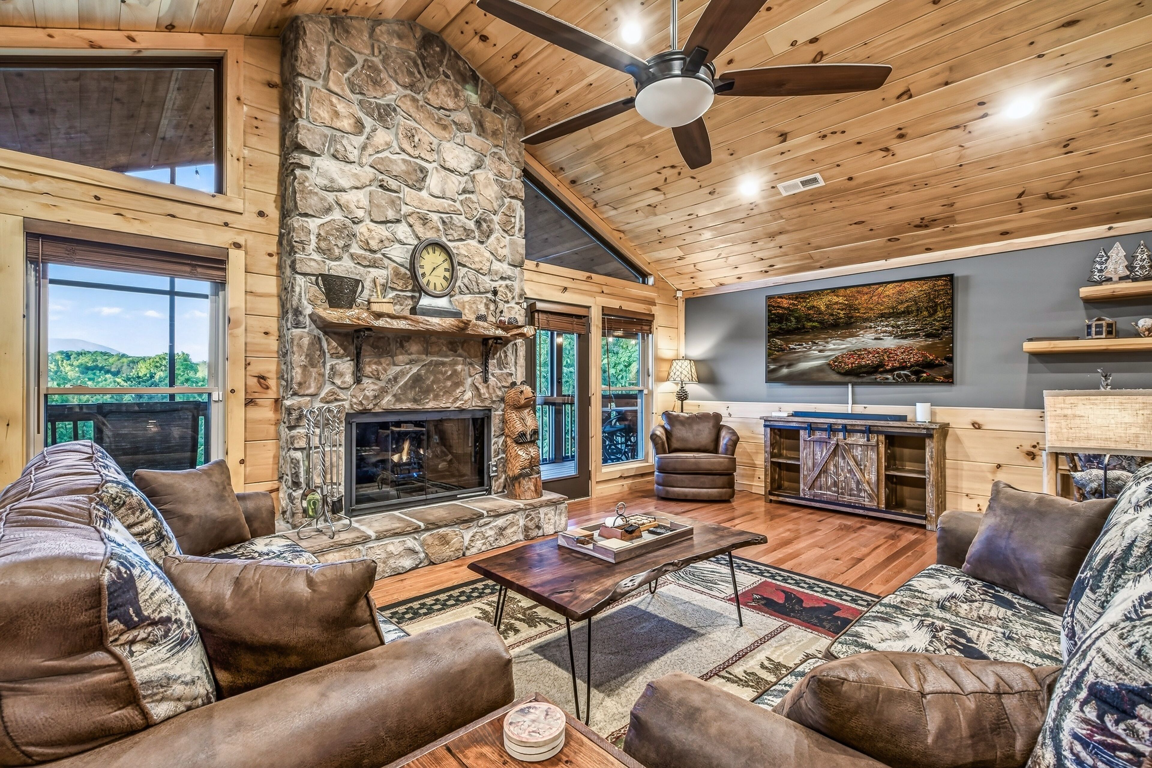 Smart TV, fireplace, video games, DVD player