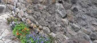 Gîte Plein Soleil - Services +++