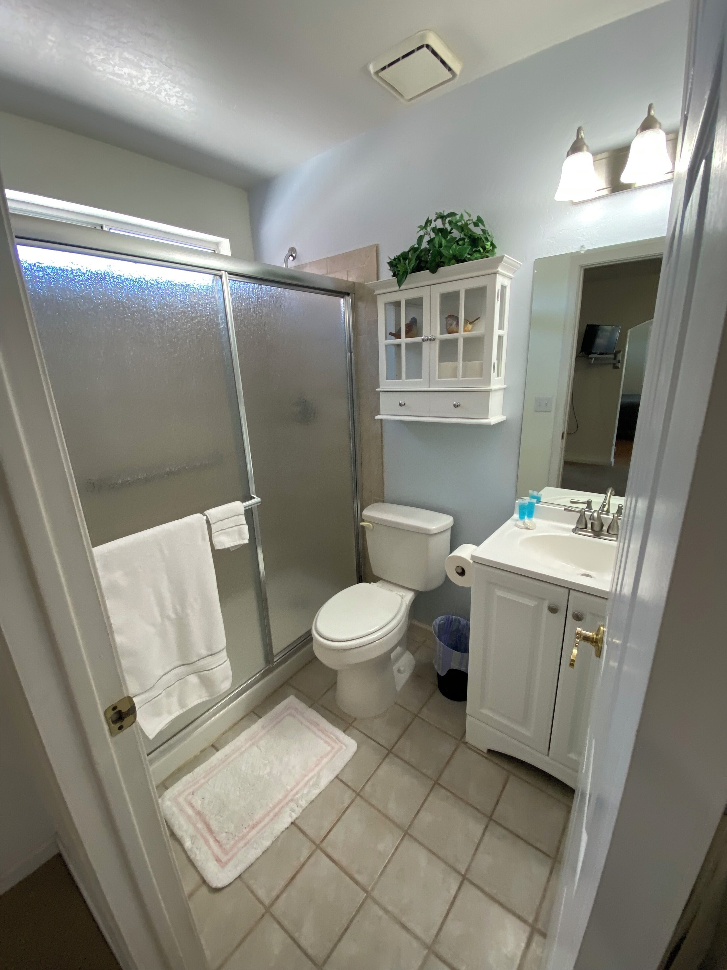 Ein Badezimmer mit einer Duschkabine, Toilette, Waschbecken mit Spiegel und einem Schrank mit Dekoration.