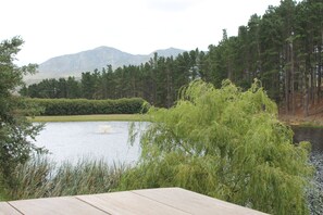 Property grounds - Hermanus, 3 bed self-catering house close to the beach. (Vermont)