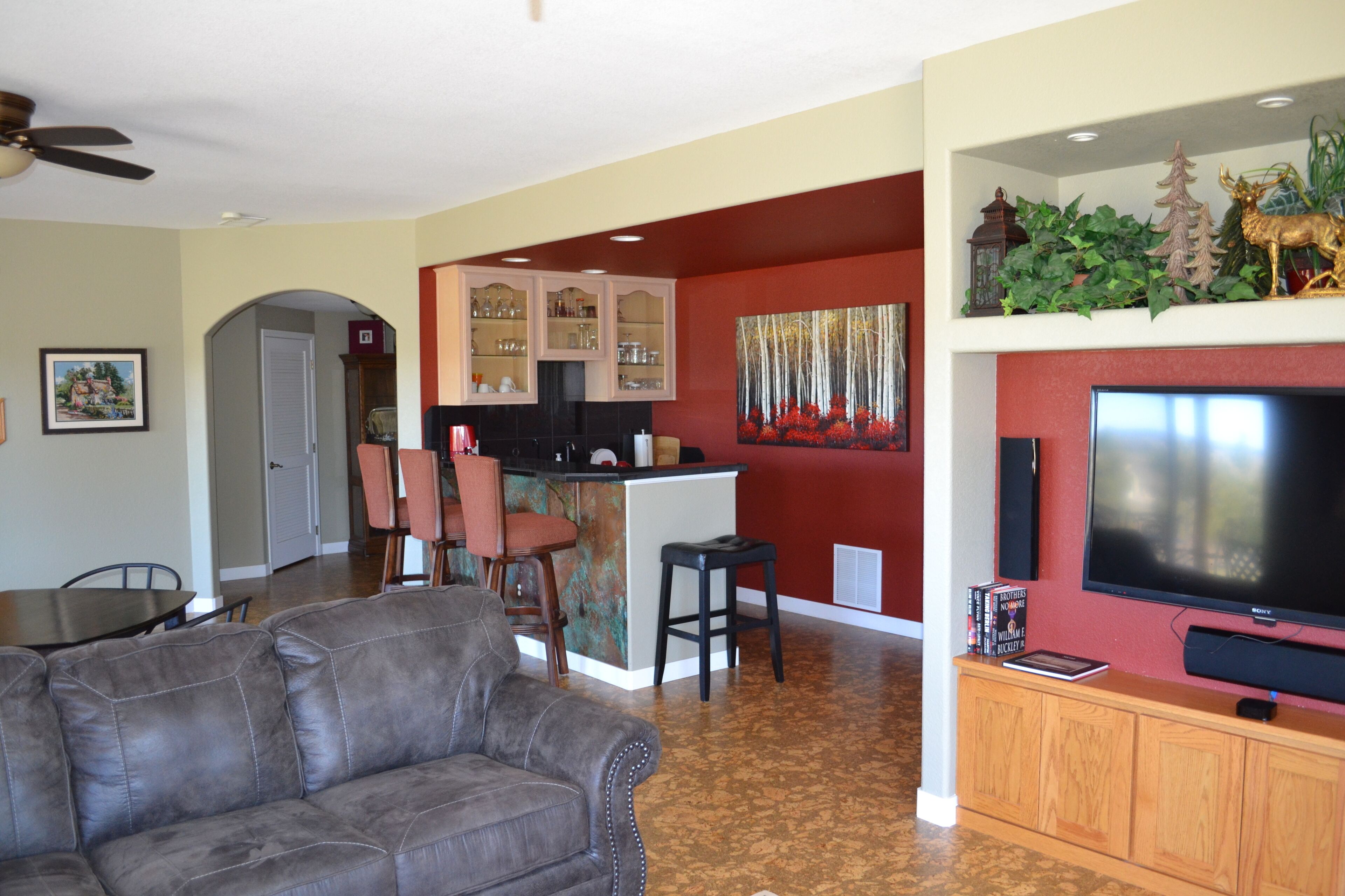 TV, fireplace, DVD player, books