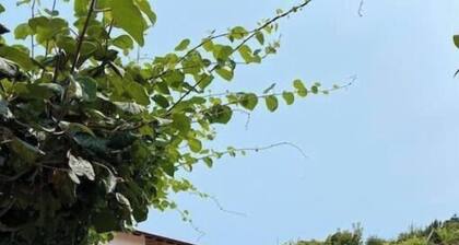 Casa de Alventela - Countryside House