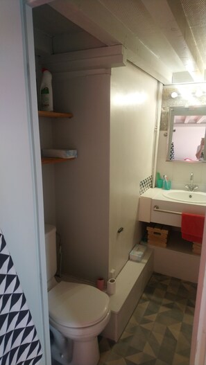Bathtub, soap, toilet paper - Apartment Vieux Lyon (Lyon)