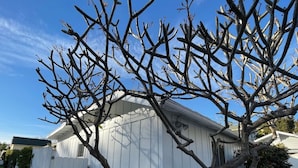 Detalle exterior