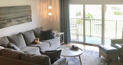 Oceanfront, pool, steps to quiet beach, nicely fully furnished