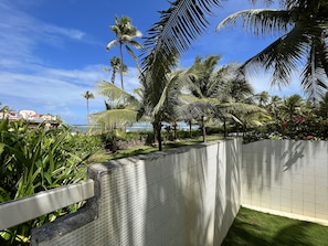 Área da propriedade