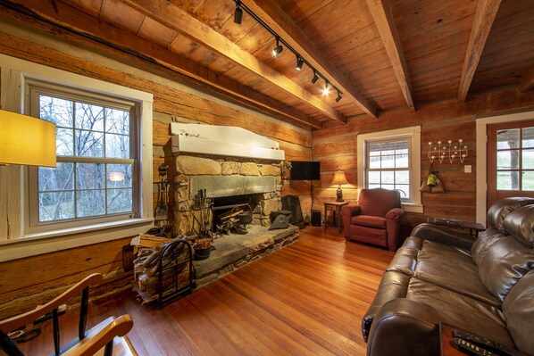 Smart TV, fireplace, books