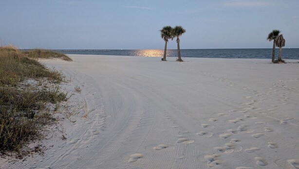A sandy beach with footprints leading to palm trees and the ocean in the background. - Coveted Gulf-front condo on pool deck, directly on beach, no highway to cross! (Biloxi)