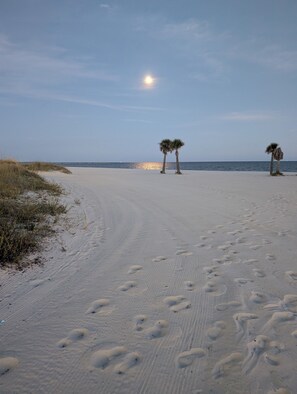 A sandy beach with footprints leading to palm trees and the ocean in the background. - Coveted Gulf-front condo on pool deck, directly on beach, no highway to cross! (Biloxi)