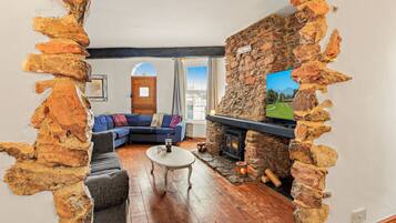 Smart TV, fireplace, books