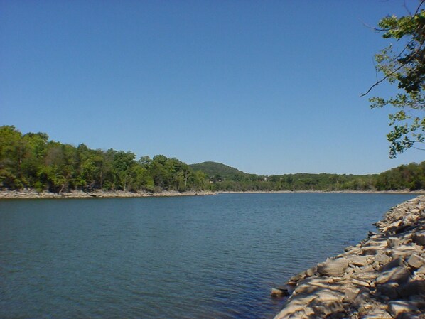 Un lago tranquilo con una orilla rocosa y un bosque denso al fondo.