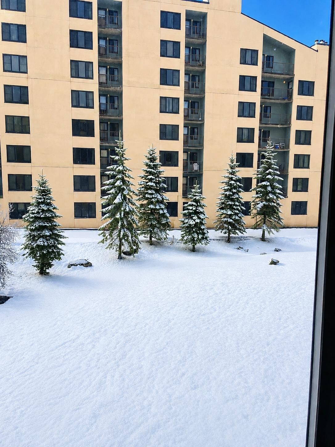 A multi-story building with a snow-covered ground and several evergreen trees.