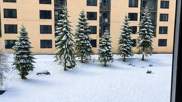 A multi-story building with a snow-covered ground and several evergreen trees.
