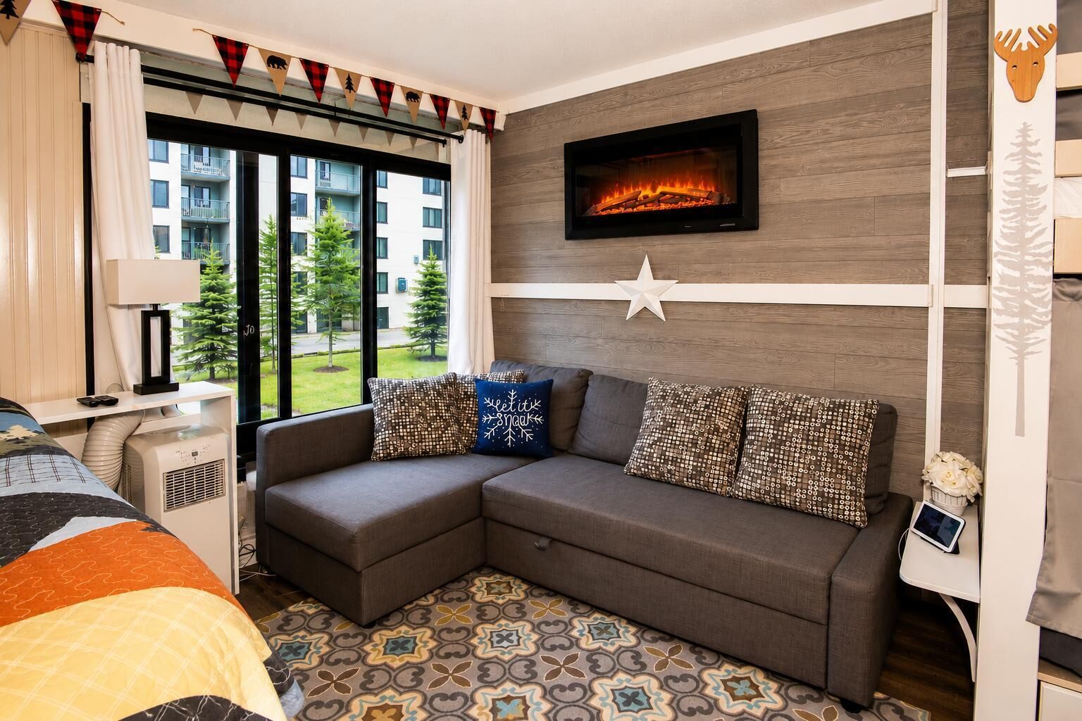 TV, fireplace, books