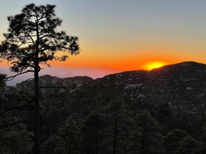 Property grounds - Family Oasis! Pool,hot tub,firepit,bikes! Near NP! (Tucson)