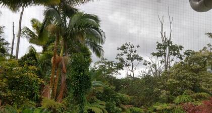 Exceptional 10/10 Hosted Peaceful Forest Paradise, 2 acres, 1700 sq.ft.