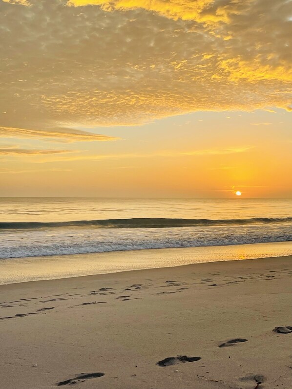 Playa en los alrededores, camastros y toallas de playa 