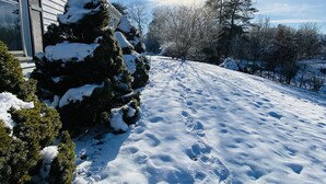 Une cour enneigée avec une maison et des arbres.