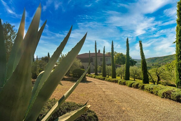 Un jardín con sendero de grava, cipreses y una planta de aloe.