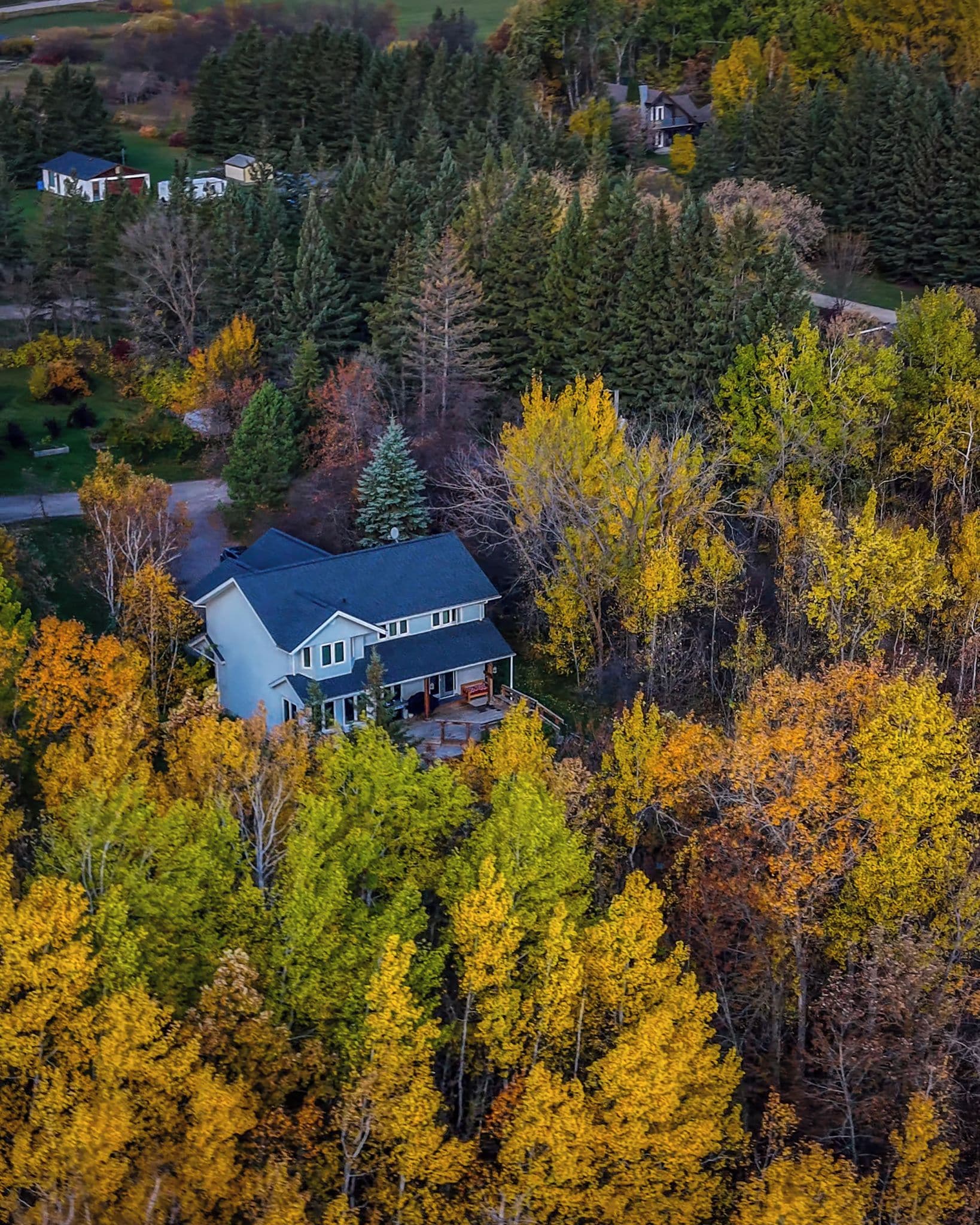A large house surrounded by dense forest with autumn foliage.
